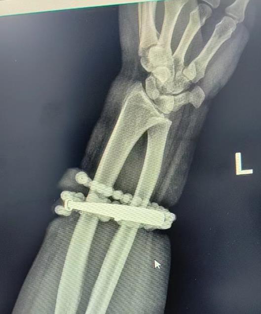 圖片宋體微軟雅黑宋體微軟雅黑